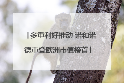 多重利好推动 诺和诺德重登欧洲市值榜首