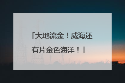 大地流金！威海还有片金色海洋！