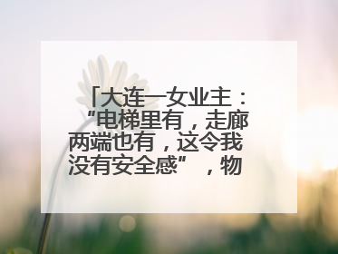 大连一女业主：“电梯里有，走廊两端也有，这令我没有安全感”，物业最新回应……