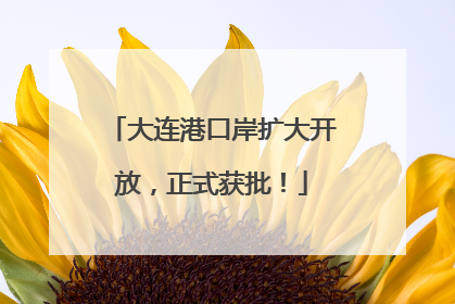 大连港口岸扩大开放，正式获批！