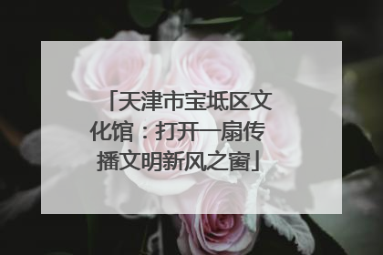 天津市宝坻区文化馆：打开一扇传播文明新风之窗