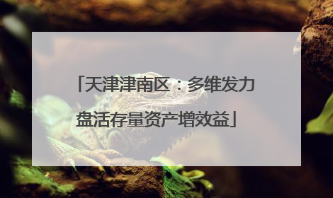 天津津南区：多维发力盘活存量资产增效益