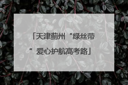 天津蓟州“绿丝带”爱心护航高考路