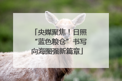 央媒聚焦！日照“蓝色粮仓”书写向海图强新篇章
