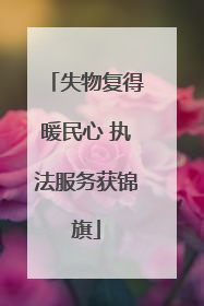 失物复得暖民心 执法服务获锦旗