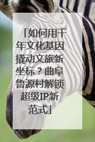 如何用千年文化基因撬动文旅新坐标？曲阜鲁源村解锁超级IP新范式