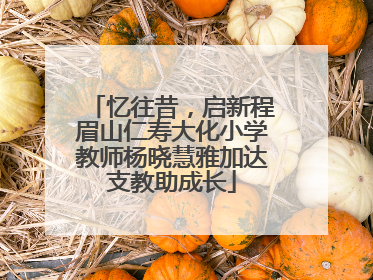 忆往昔，启新程眉山仁寿大化小学教师杨晓慧雅加达支教助成长