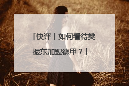 快评丨如何看待樊振东加盟德甲？