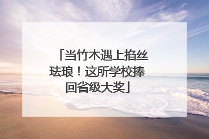 当竹木遇上掐丝珐琅！这所学校捧回省级大奖