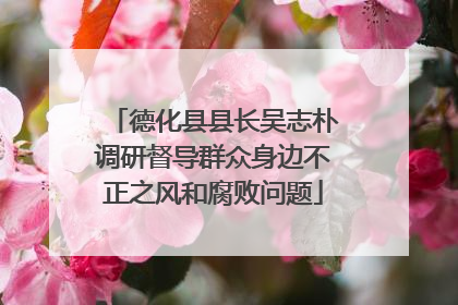 德化县县长吴志朴调研督导群众身边不正之风和腐败问题