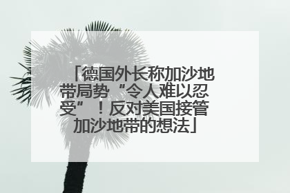 德国外长称加沙地带局势“令人难以忍受”！反对美国接管加沙地带的想法
