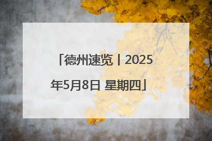 德州速览丨2025年5月8日 星期四
