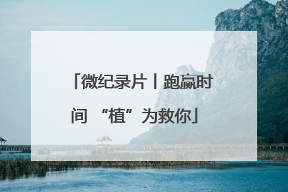 微纪录片丨跑赢时间 “植”为救你
