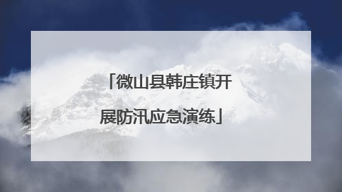 微山县韩庄镇开展防汛应急演练