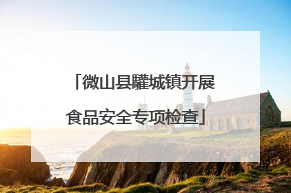 微山县驩城镇开展食品安全专项检查