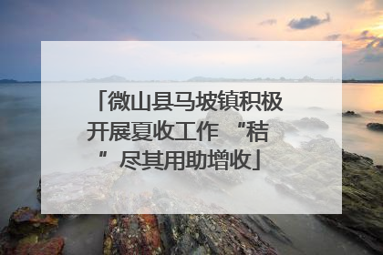 微山县马坡镇积极开展夏收工作 “秸”尽其用助增收