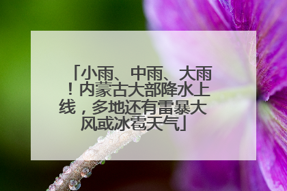 小雨、中雨、大雨！内蒙古大部降水上线，多地还有雷暴大风或冰雹天气