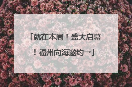 就在本周！盛大启幕！福州向海邀约→