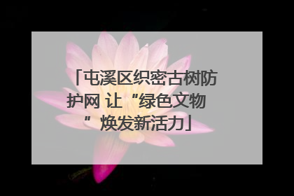 屯溪区织密古树防护网 让“绿色文物”焕发新活力