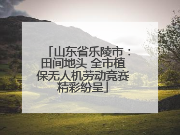 山东省乐陵市：田间地头 全市植保无人机劳动竞赛精彩纷呈