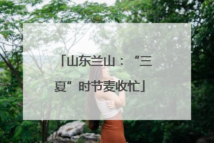 山东兰山：“三夏”时节麦收忙