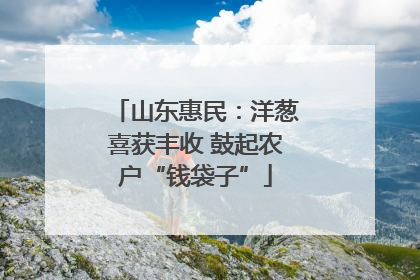 山东惠民：洋葱喜获丰收 鼓起农户“钱袋子”