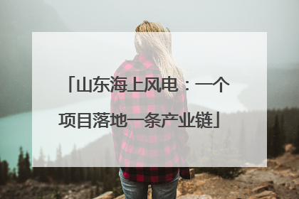 山东海上风电：一个项目落地一条产业链