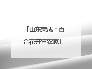 山东荣成：百合花开富农家