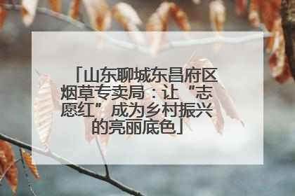 山东聊城东昌府区烟草专卖局：让“志愿红”成为乡村振兴的亮丽底色