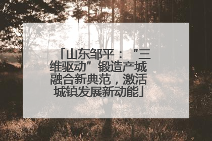 山东邹平：“三维驱动”锻造产城融合新典范，激活城镇发展新动能