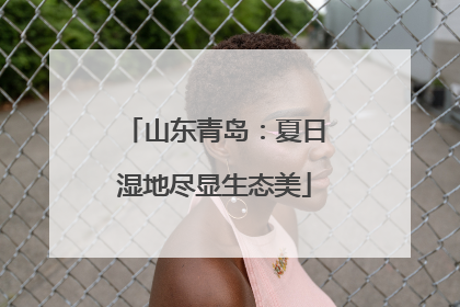 山东青岛：夏日湿地尽显生态美