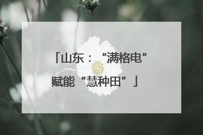 山东：“满格电”赋能“慧种田”