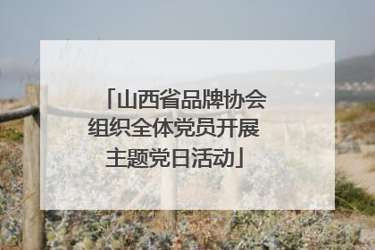 山西省品牌协会组织全体党员开展主题党日活动