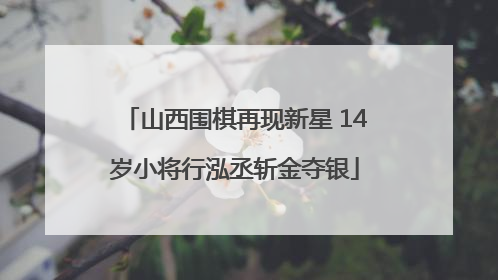 山西围棋再现新星 14岁小将行泓丞斩金夺银