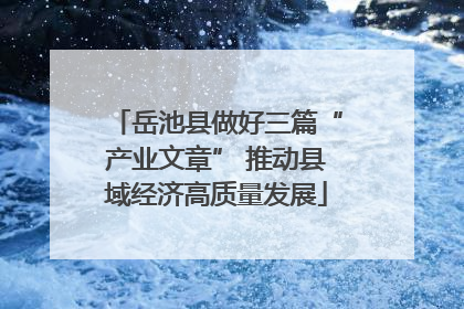 岳池县做好三篇“产业文章” 推动县域经济高质量发展