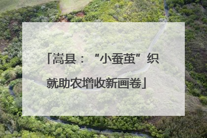 嵩县：“小蚕茧”织就助农增收新画卷