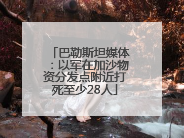 巴勒斯坦媒体：以军在加沙物资分发点附近打死至少28人
