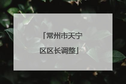 常州市天宁区区长调整