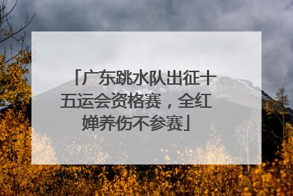 广东跳水队出征十五运会资格赛，全红婵养伤不参赛