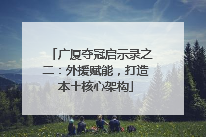 广厦夺冠启示录之二：外援赋能，打造本土核心架构