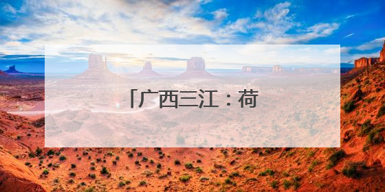 广西三江：荷香侗韵醉游人
