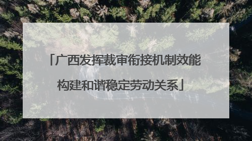 广西发挥裁审衔接机制效能 构建和谐稳定劳动关系
