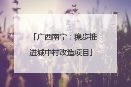 广西南宁：稳步推进城中村改造项目