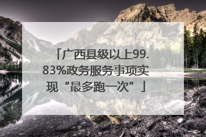 广西县级以上99.83%政务服务事项实现“最多跑一次”