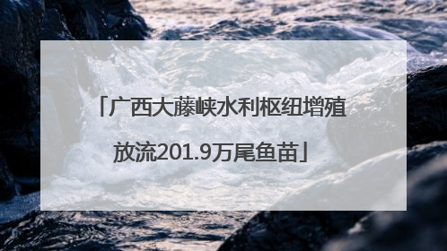 广西大藤峡水利枢纽增殖放流201.9万尾鱼苗