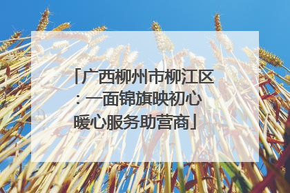 广西柳州市柳江区：一面锦旗映初心 暖心服务助营商