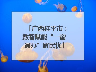 广西桂平市：数智赋能“一窗通办”解民忧