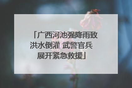 广西河池强降雨致洪水倒灌 武警官兵展开紧急救援
