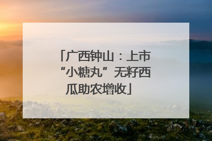 广西钟山：上市“小糖丸”无籽西瓜助农增收