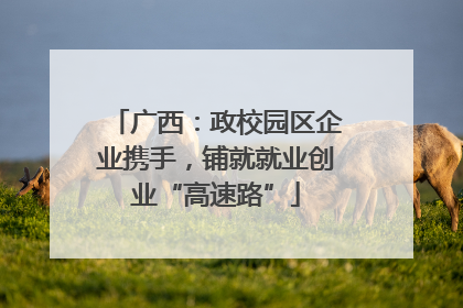 广西：政校园区企业携手，铺就就业创业“高速路”